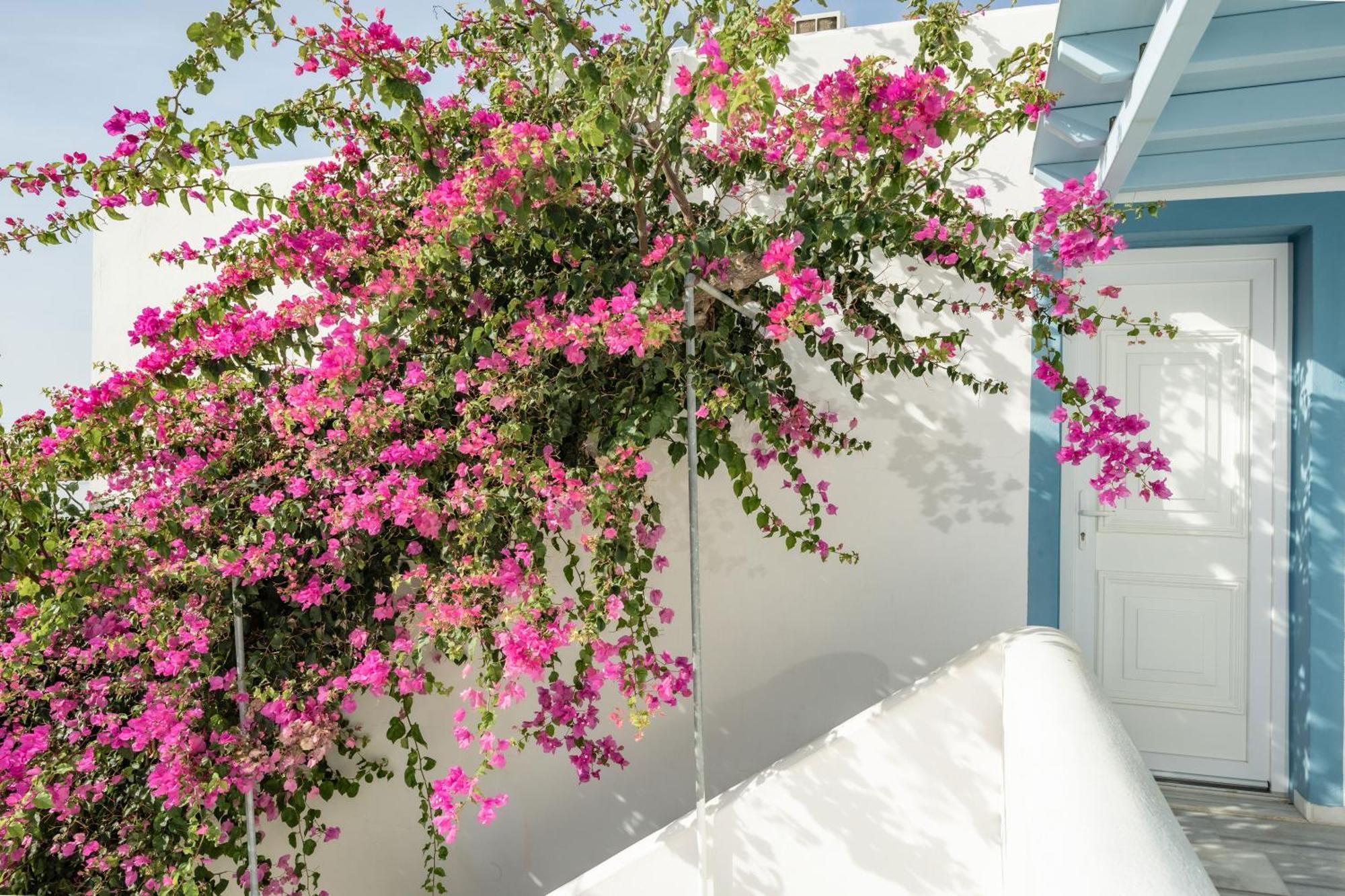 Aggeliki's Diamond Appart hôtel